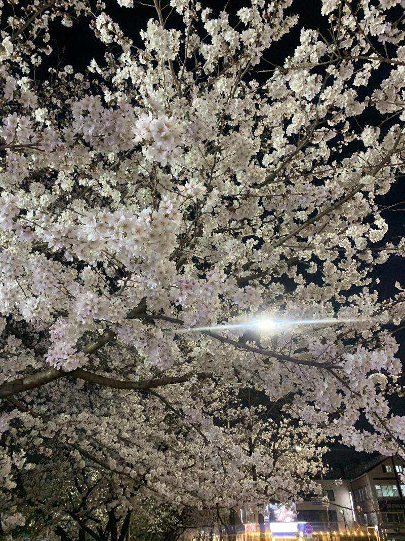 IMG_0807.jpeg