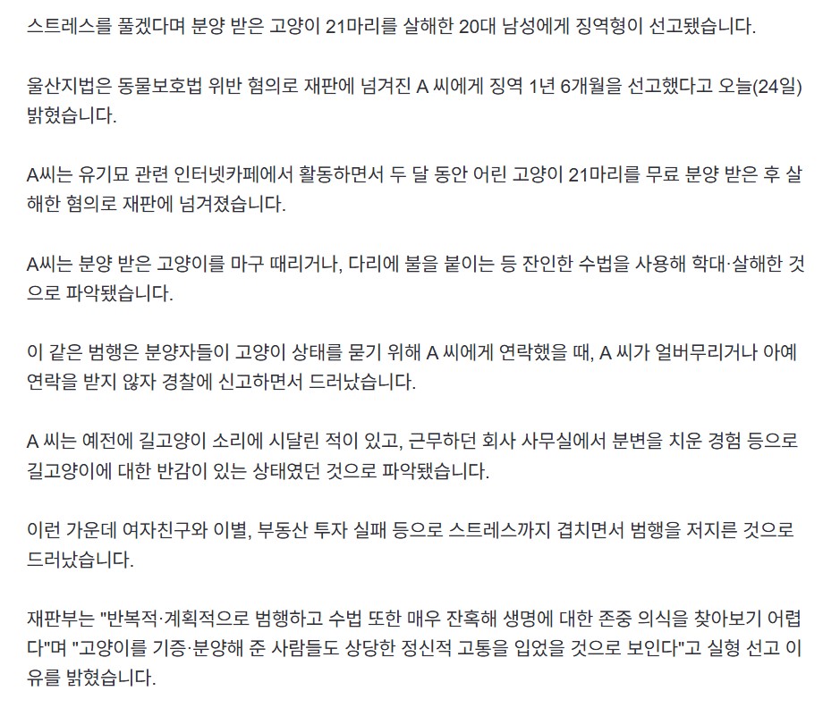 고양이2.jpg