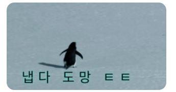 클릭하시면 원본 이미지를 보실 수 있습니다.