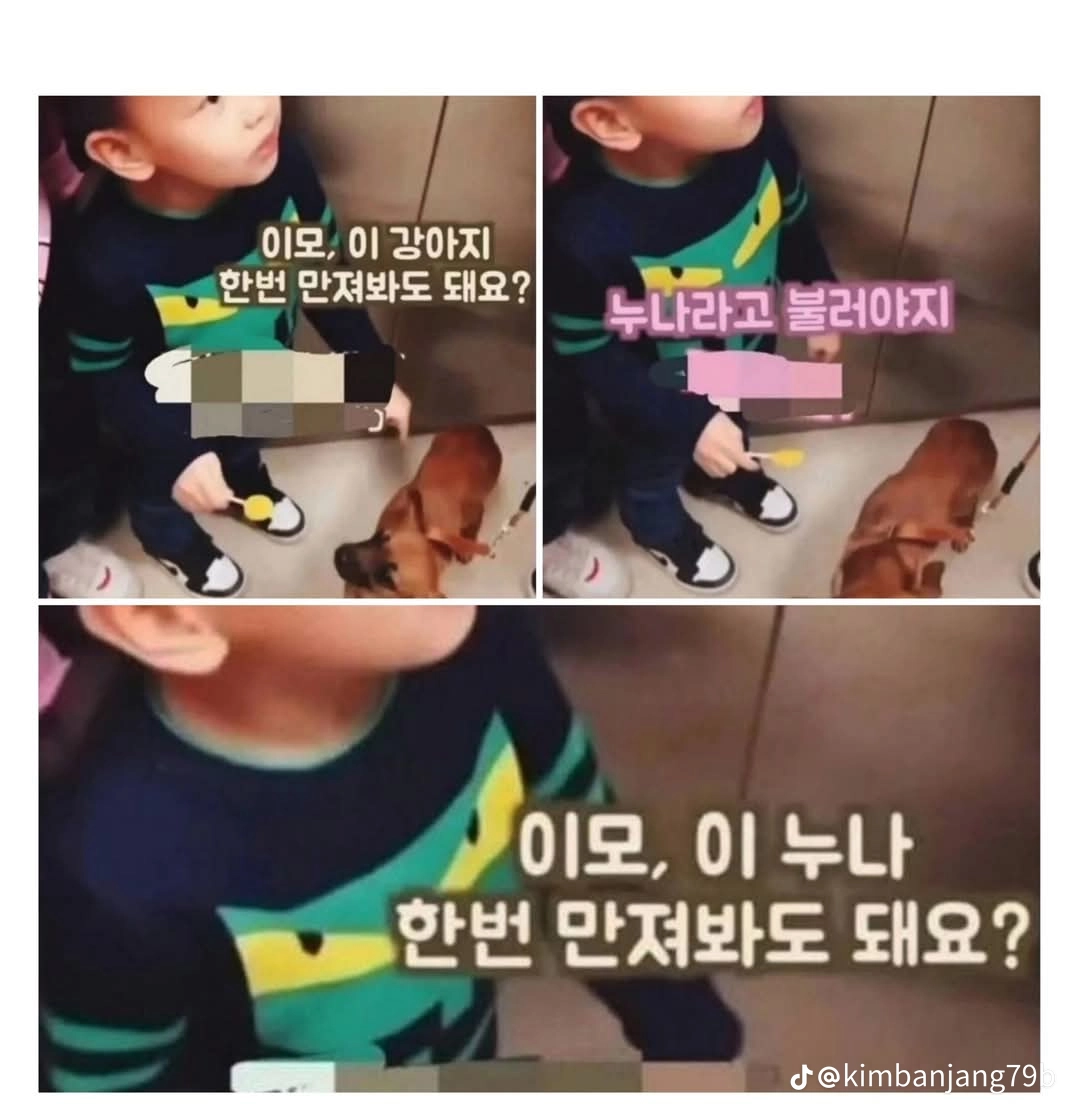 b7a49e5c8ca122968fd6efc98b0871a6.png