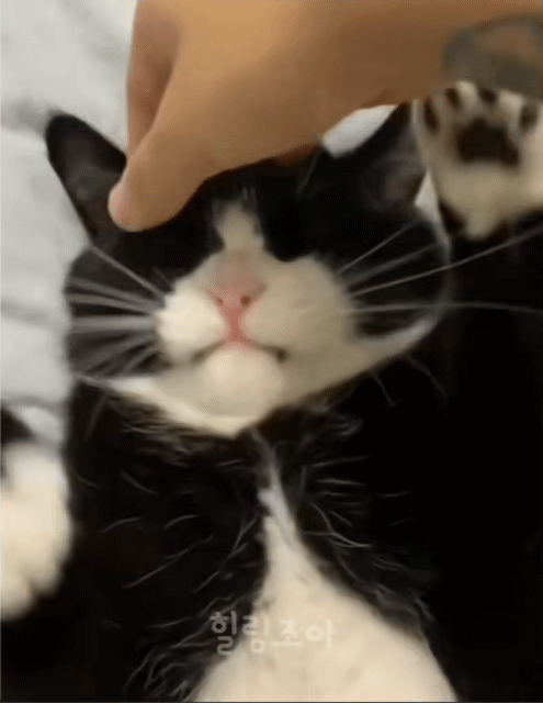 11.gif