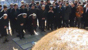 IMG_5247.gif