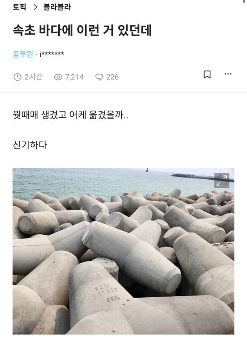 클릭하시면 원본 이미지를 보실 수 있습니다.