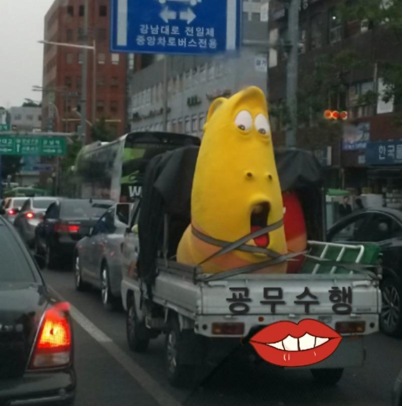 1000072041.jpg