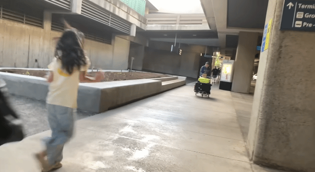 83f8a64b64722f7cf8f739d050707ce7ee962545_20250512115912.gif