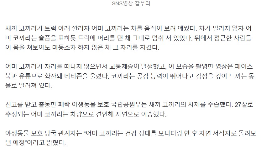 Screenshot 2025-05-12 at 14.26.57.JPG