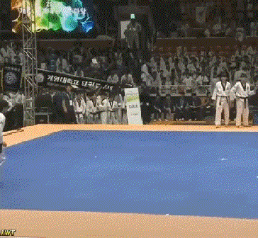 태권99단.gif