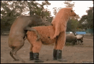 GAA588971b295c11.gif