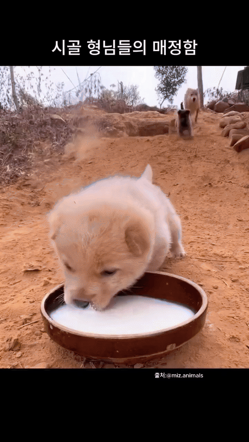 1000021471.gif