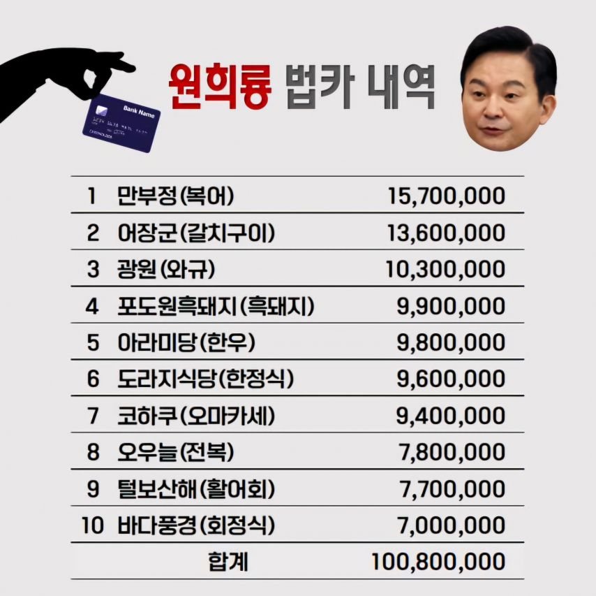 원희룡 법카내역.jpg