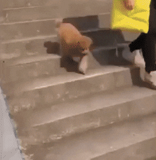 Internet_20250517_095814_8.gif