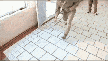 Internet_20250517_095814_9.gif