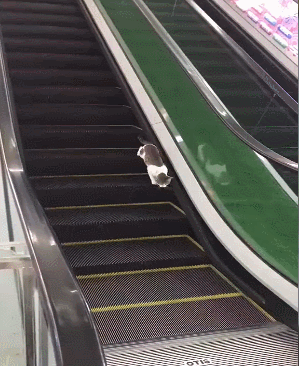 Internet_20250517_095814_10.gif