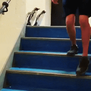 Internet_20250517_095814_11.gif