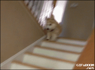 Internet_20250517_095814_12.gif