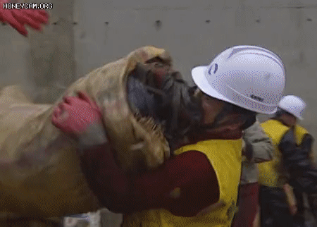 CAoK1689811431_899143039.gif