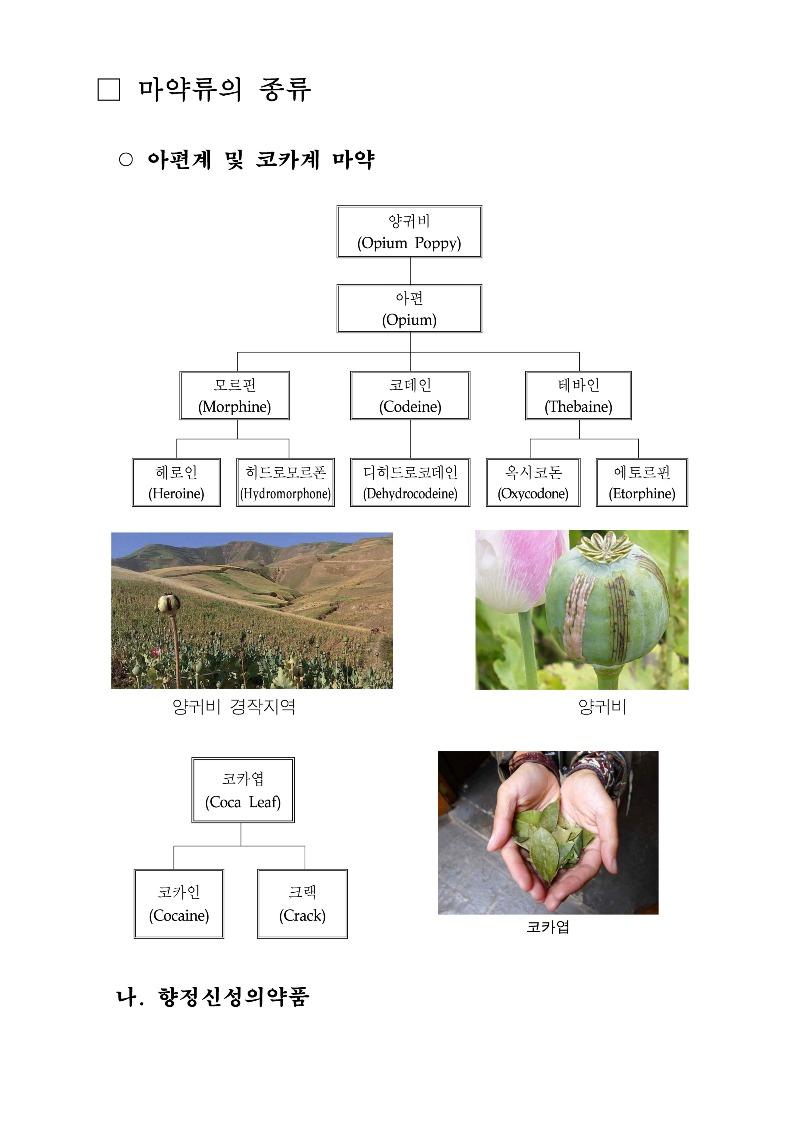 drug_file2_페이지_1.jpg