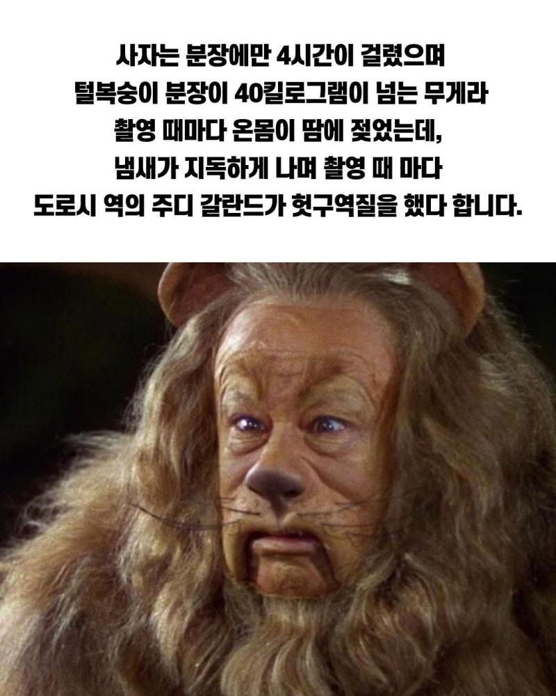 1000066689.jpg