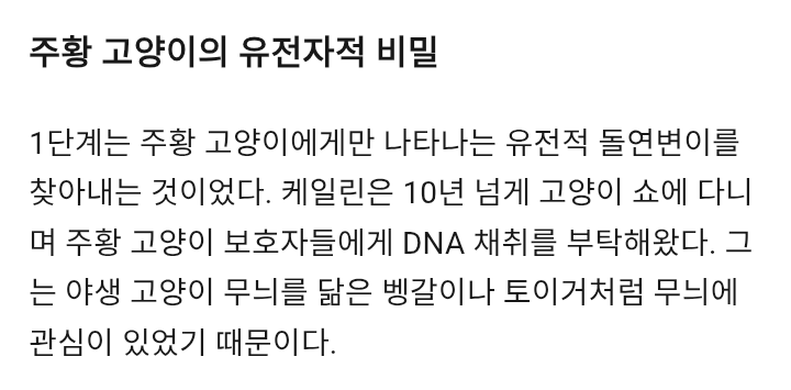 Screenshot_20250526-013222(1).png