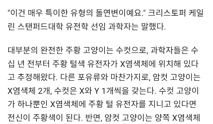 Screenshot_20250526-013210(1).png
