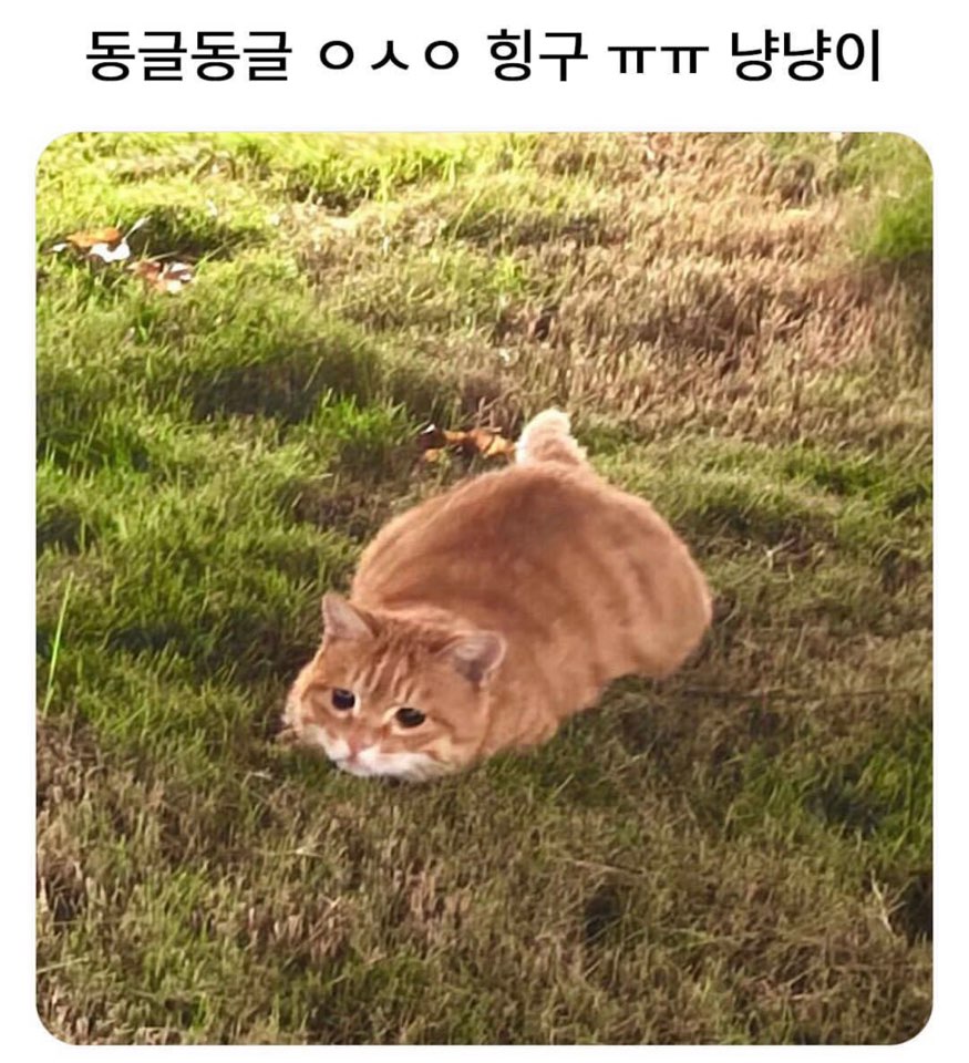KakaoTalk_20250530_161619848.jpg