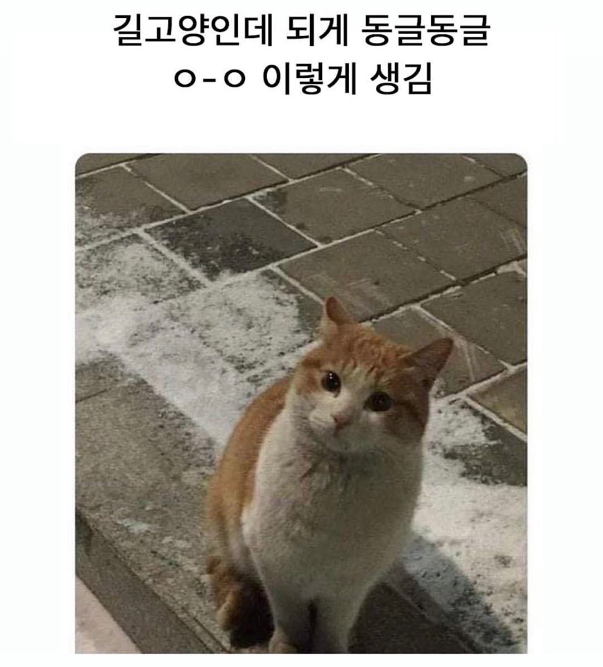 KakaoTalk_20250530_161619848_01.jpg