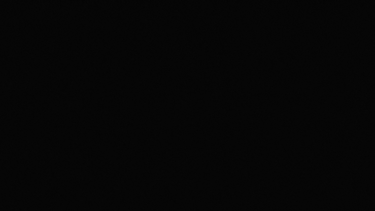 1000040835.gif