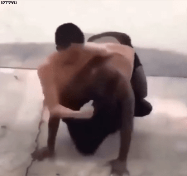 1627726818.gif