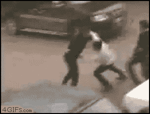 a114aac94fdd1807398cf6cf372deb88.gif