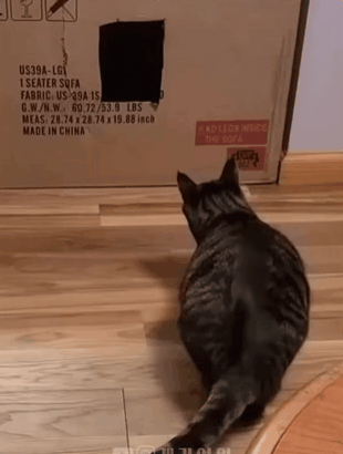 1000006157.gif