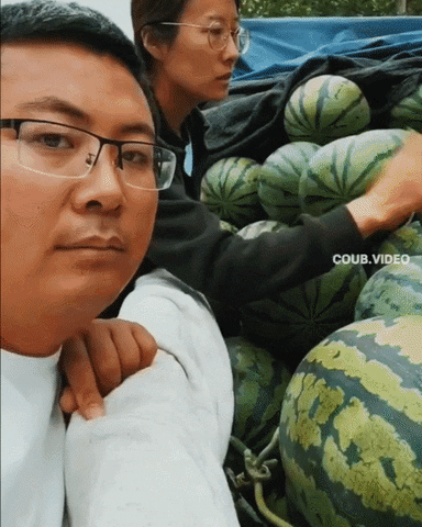 giphy (2).gif
