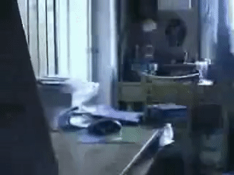1000008372.gif