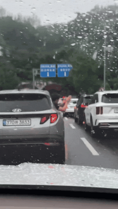 1000022491.gif