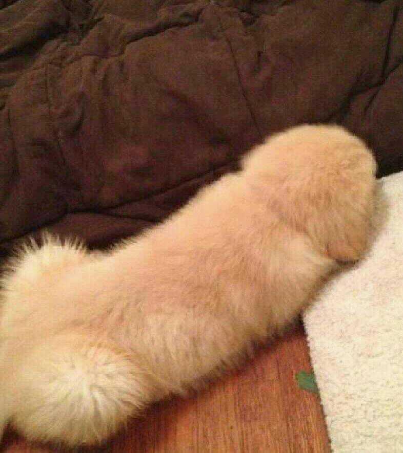 ?????.jpg