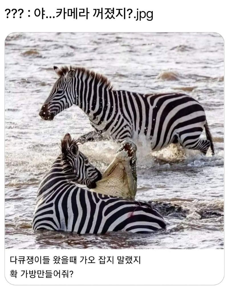 1000023058.jpg