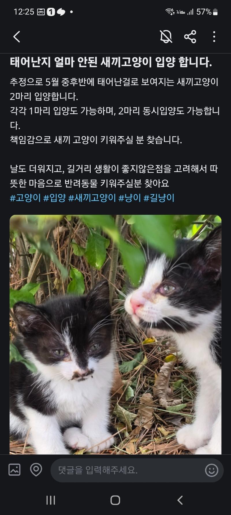 클릭하시면 원본 이미지를 보실 수 있습니다.