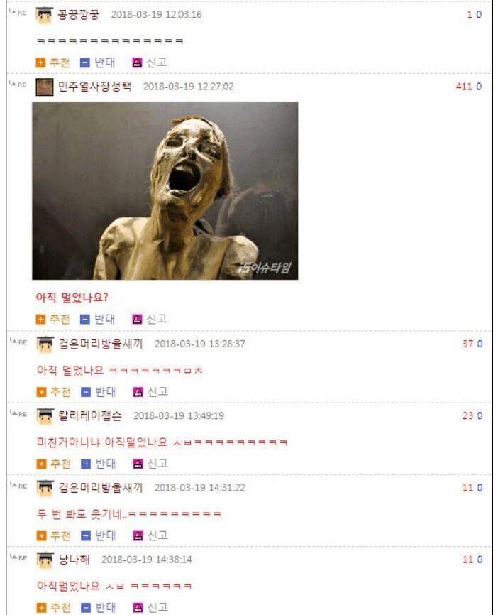1000033100.jpg