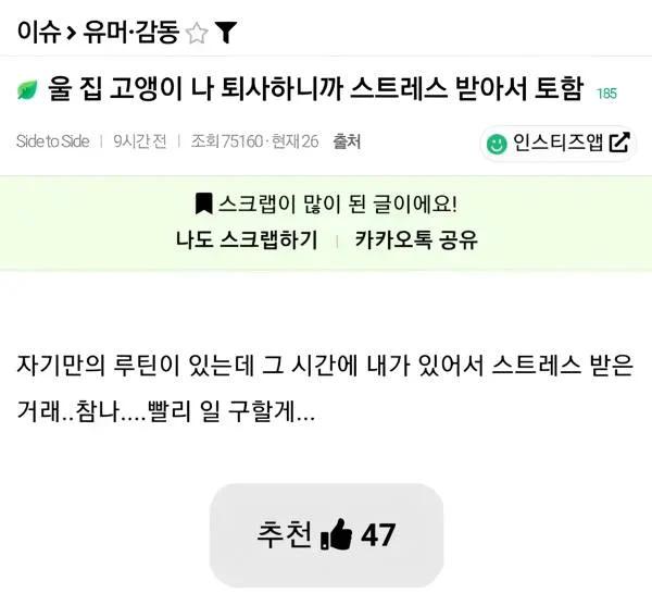 클릭하시면 원본 이미지를 보실 수 있습니다.