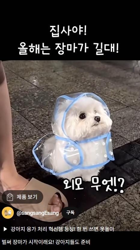 스크린샷_18-6-2025_225244_<A HREF=