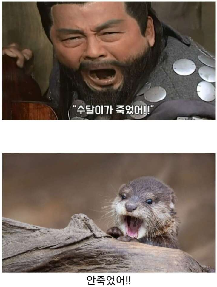 1000037733.png