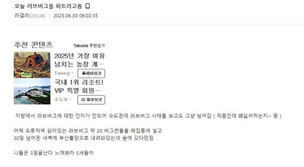 클릭하시면 원본 이미지를 보실 수 있습니다.