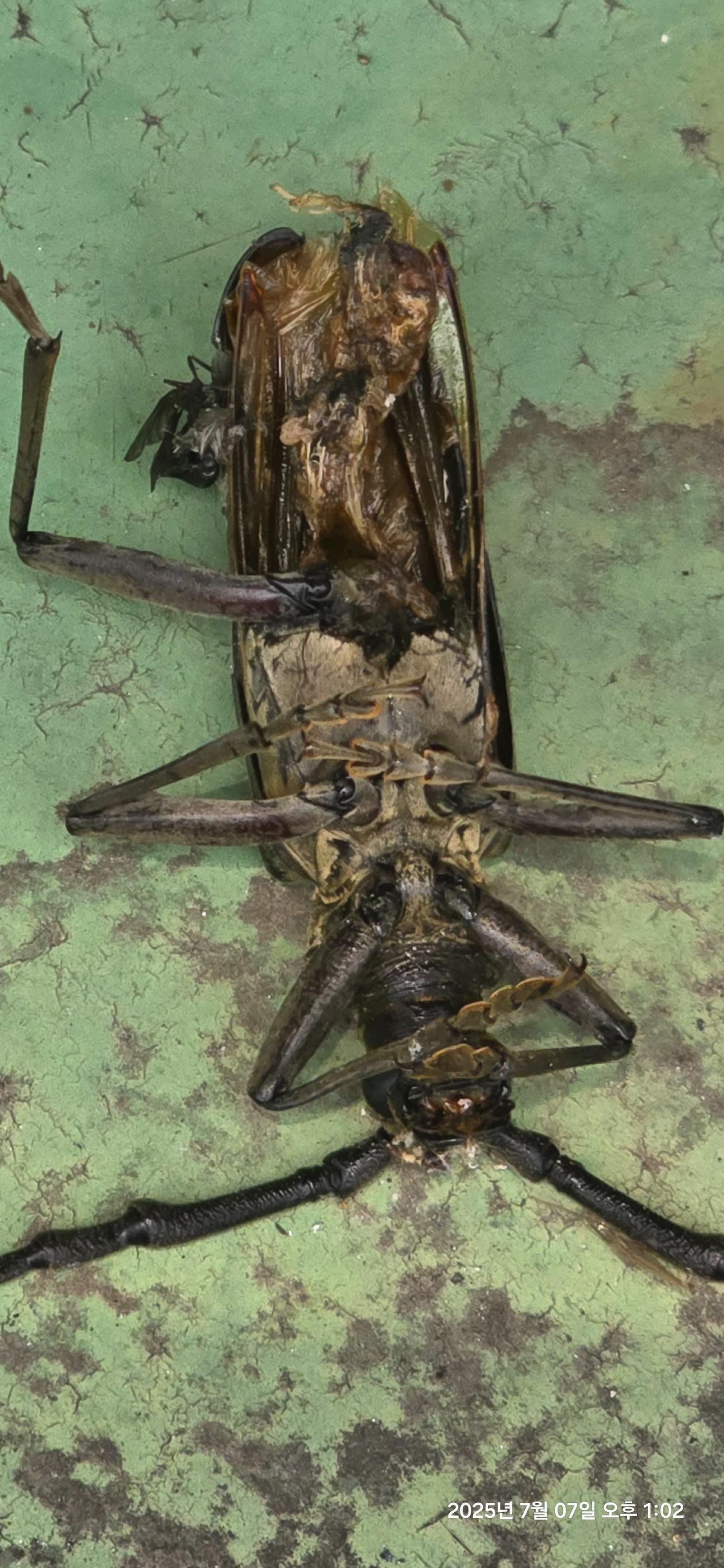 클릭하시면 원본 이미지를 보실 수 있습니다.