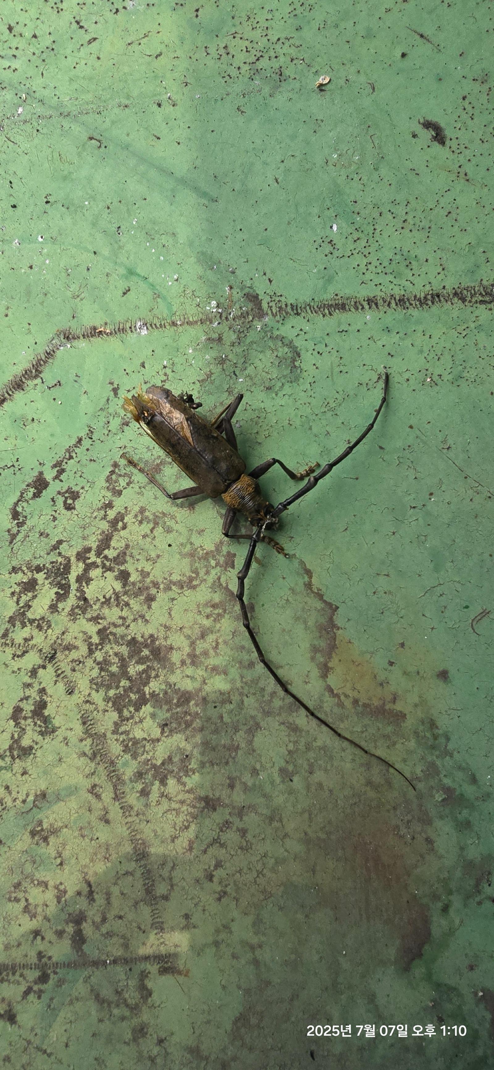 클릭하시면 원본 이미지를 보실 수 있습니다.