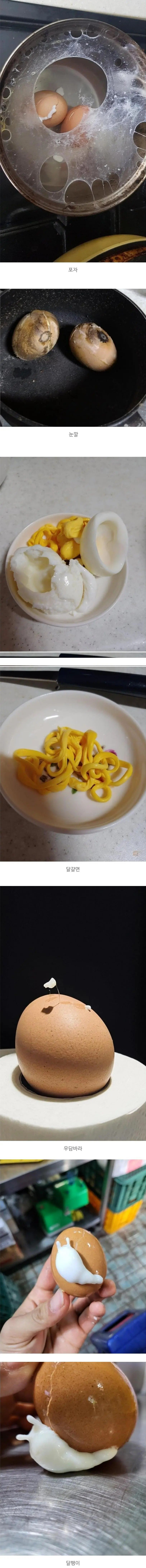 1000071222.jpg