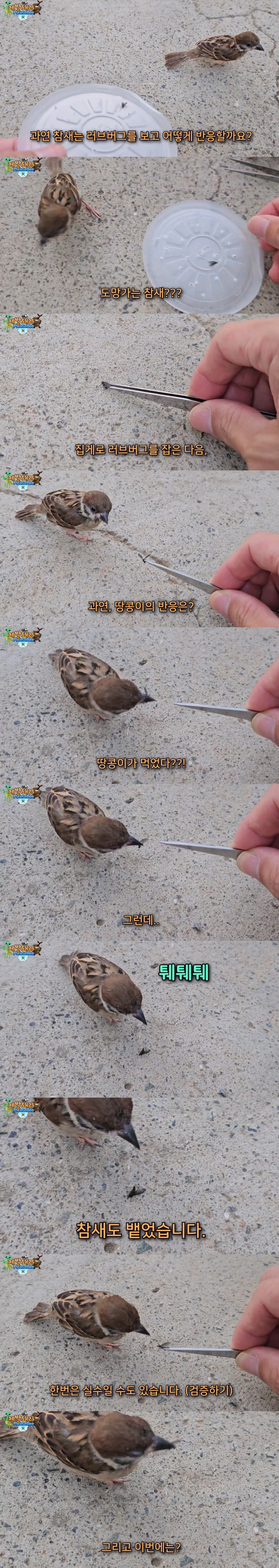 JZFHL.jpg