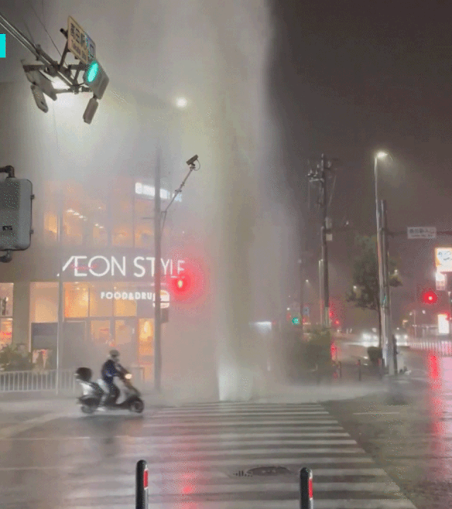 1752352405520.gif