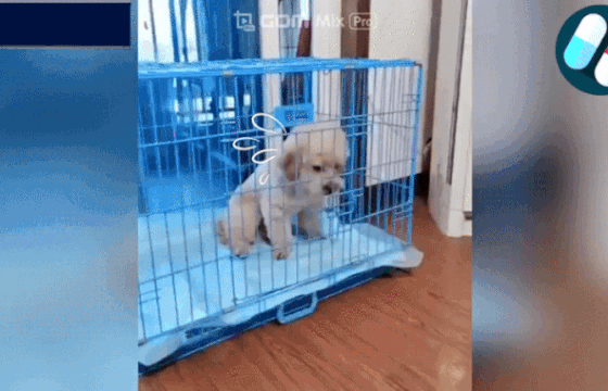 2025-07-14_Untitled-ezgif.com-resize.gif