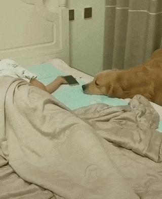 1000050510.gif