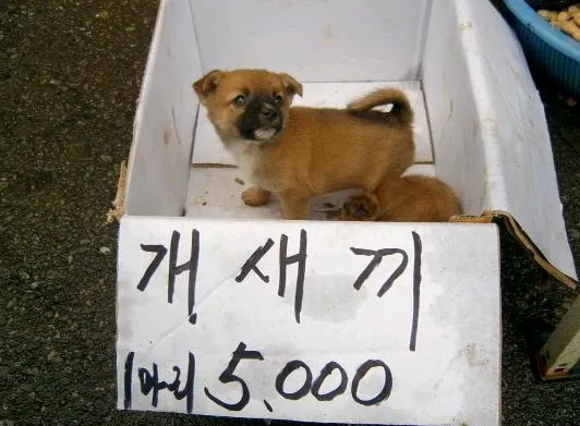 1000024992.webp
