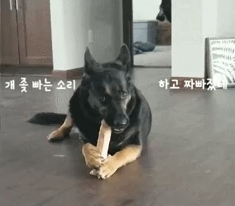 i9306516092_1.gif
